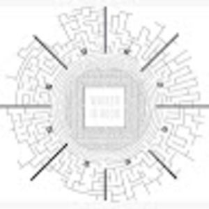 Meet your Posher, Mitchell